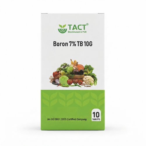 Tablet Boron 7% |10g×10 Tablet Box| China