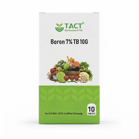 Tablet Boron 7% |10g×10 Tablet Box| China